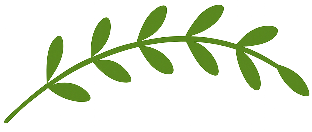 chatgpt image oct 1, 2025, 11 23 52 pm